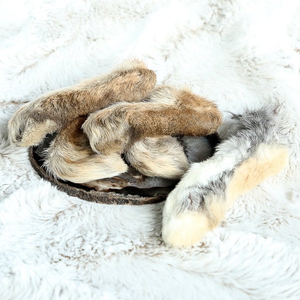 Real Dry- Preserved Craft Rabbit Feet