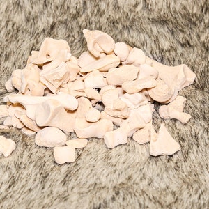 May include: A pile of small, off-white, bone-like objects on a brown, fuzzy surface.