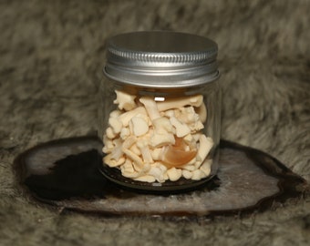 Raccoon Paw Bone Jar