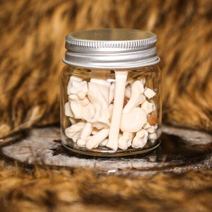 Raccoon Paw Bone Jar