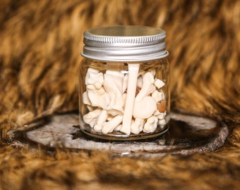 Raccoon Paw Bone Jar