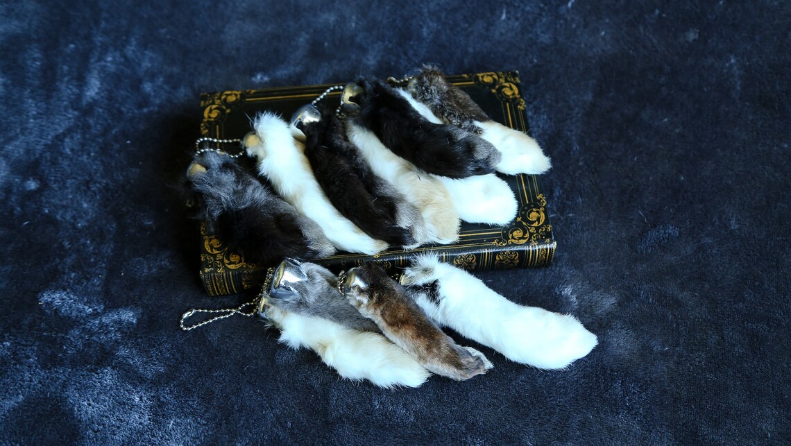 Real Lucky Rabbit Feet Back | Etsy