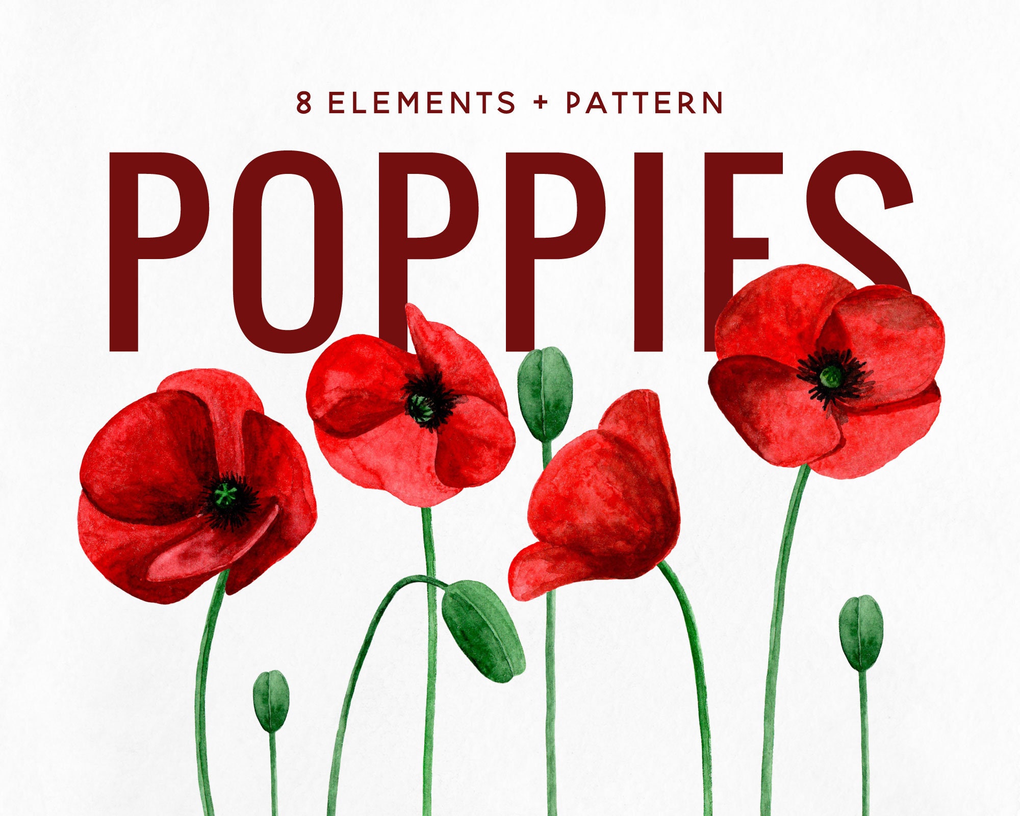 Download Watercolor Poppies Clipart Red Flowers Clip Art Floral Poppy Etsy