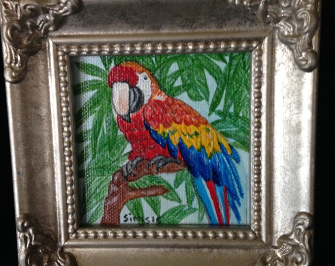 Mr. MaCaw