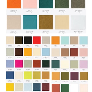 May include: A colour chart of premium paper options from Katton&eacute;, featuring a variety of colours including Pumpkin, Sea Green, and Winter White. Each colour is displayed in a square with the name and weight of the paper. The text "COLORED PREMIUM PAPER Options" is at the top.