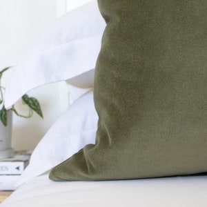 Sage Green Throw Pillow Covers Luxury Velvet Double sided Lumbars & 26 Euro Sham Available zdjęcie 5