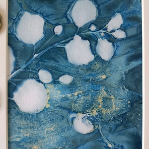 Impression cyanotypie 20 x 25 cm, cyanotypie originale de vraie plante de câpres image 4