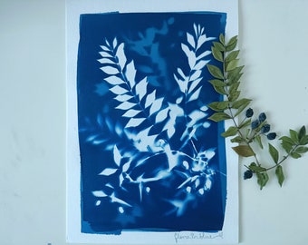 A4 originele cyanotype print, Myrtle Wall Art, print van echte planten voor natuurliefhebbers