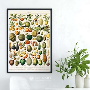 Fruits Chart Botanical Print Fruits Poster Printable Wall Art - Etsy