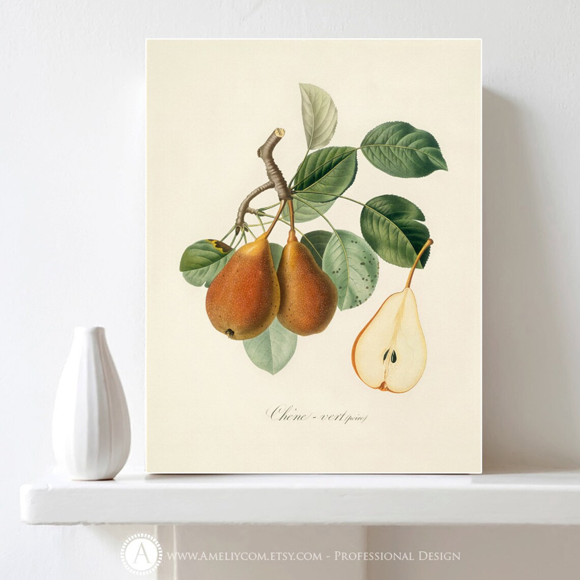 Printable Pear Print Botanical Art Print Vintage Botanical Etsy