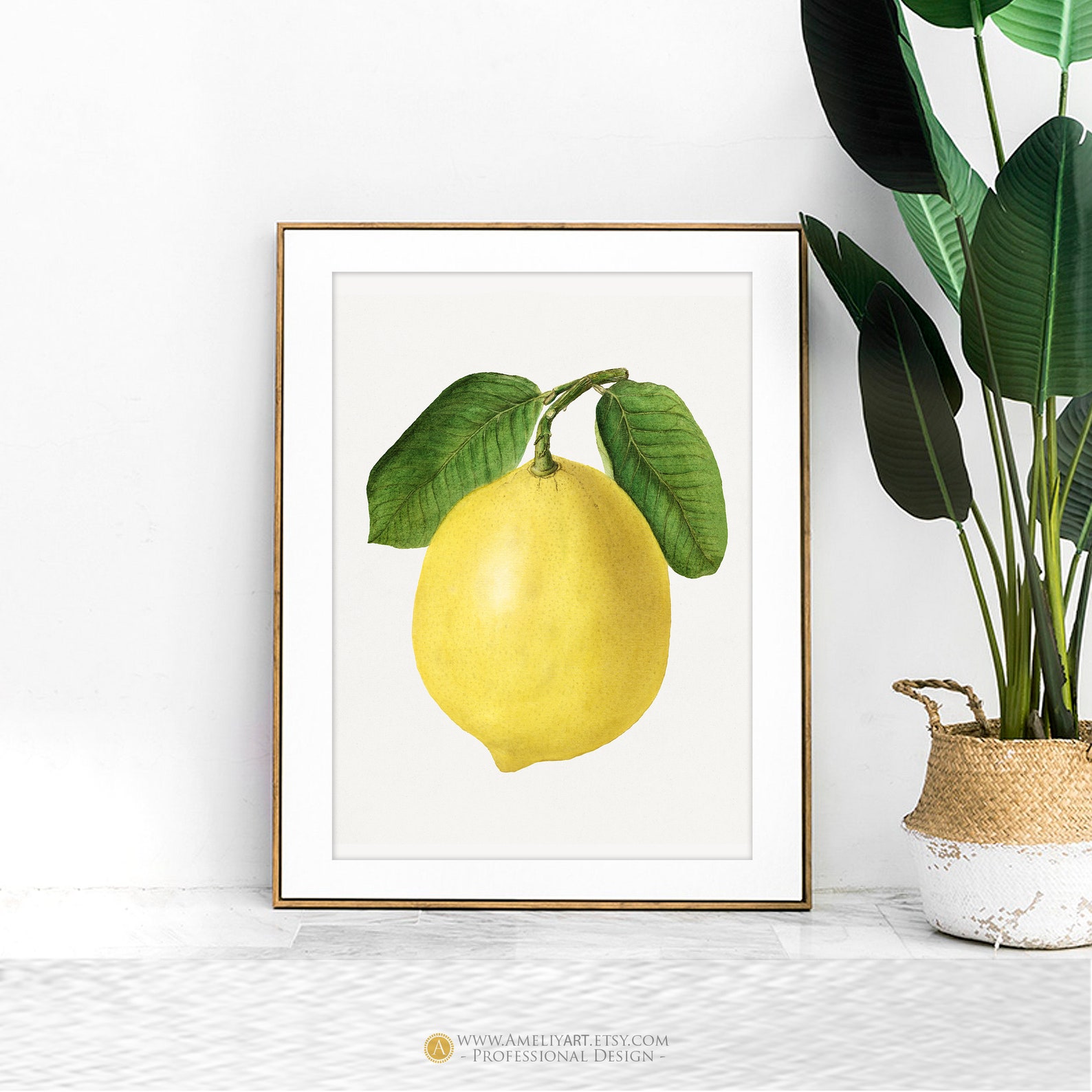 Vintage Lemon Illustration Printable Lemon Botanical Print. - Etsy