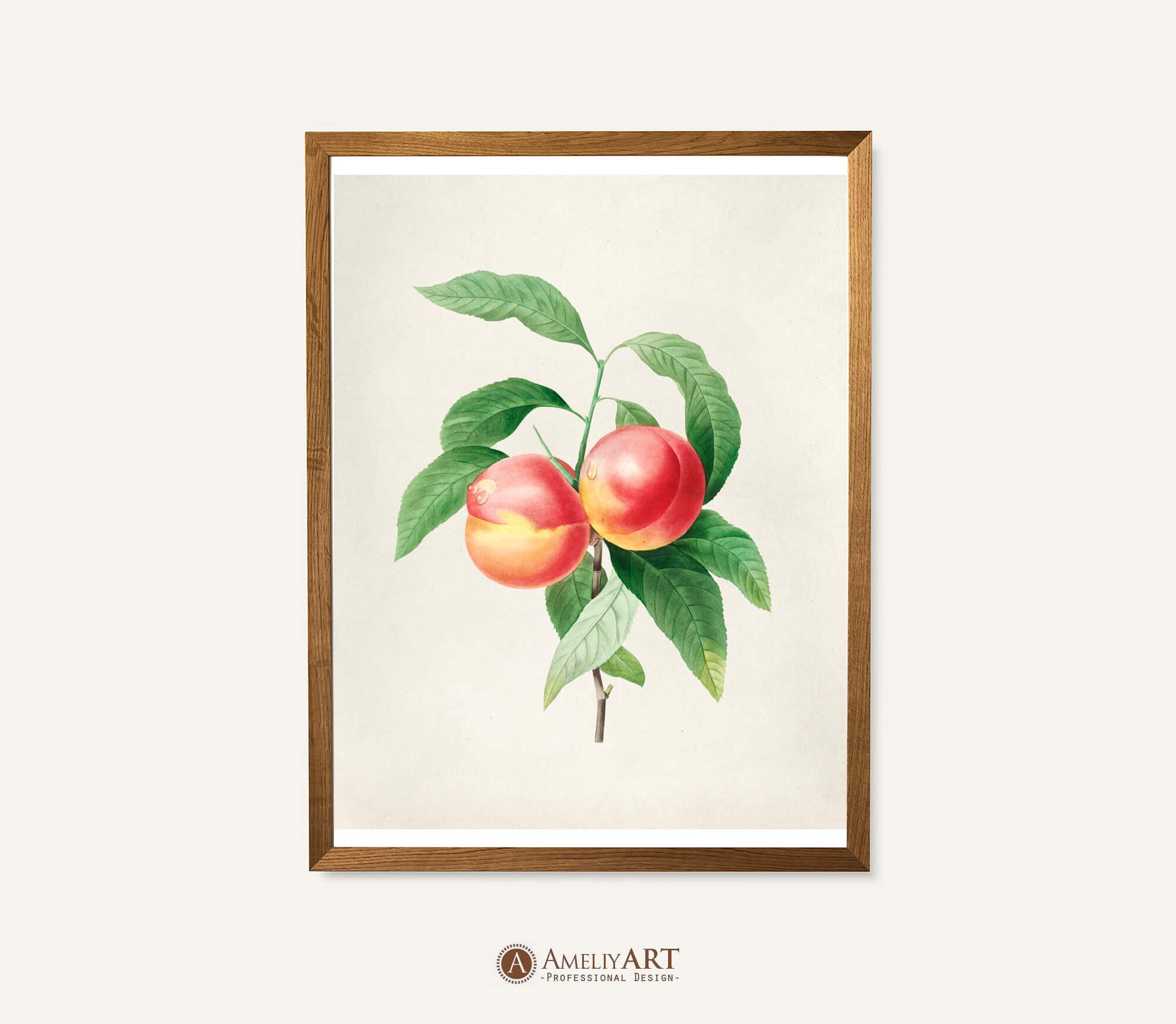 Fruit Botanical Print Printable Peach Fruit Wall Art Antique Etsy