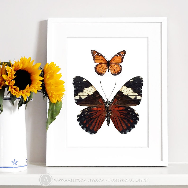 Butterfly Artwork Print Printable Butterflies Poster Butterflies Wall Decor Mother nature Print Gals Bed room Decor Insect Residence Decor Electronic Down load image regarding Printable Butterflies named Butterfly Artwork Print Printable Butterflies Poster Butterflies Wall Decor Mother nature Print Gals Bed room Decor Insect Household Decor Electronic Obtain
