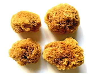 Wool Sea Sponge, Handmade natural, Renewable Resource, 3 or 6 inch Sea Sponge, Eco-Friendly, Lathers Well, Exfoliates, Zero Waste, Bath