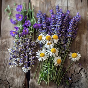 fresh cut lavender and chamomile
