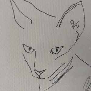 K&ouml;nnte beinhalten: Eine schwarze Tuschezeichnung auf einer wei&szlig;en, strukturierten Papieroberfl&auml;che, die den Kopf und die Ohren einer Katze darstellt. Das Kunstwerk verwendet einen durchgehenden Linienstil, um die Gesichtsz&uuml;ge der Katze, einschlie&szlig;lich spitzer Ohren.