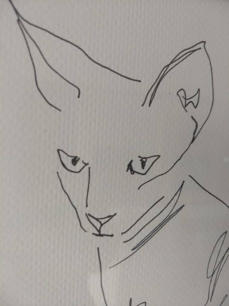 K&ouml;nnte beinhalten: Eine schwarze Tuschezeichnung auf einer wei&szlig;en, strukturierten Papieroberfl&auml;che, die den Kopf und die Ohren einer Katze darstellt. Das Kunstwerk verwendet einen durchgehenden Linienstil, um die Gesichtsz&uuml;ge der Katze, einschlie&szlig;lich spitzer Ohren.
