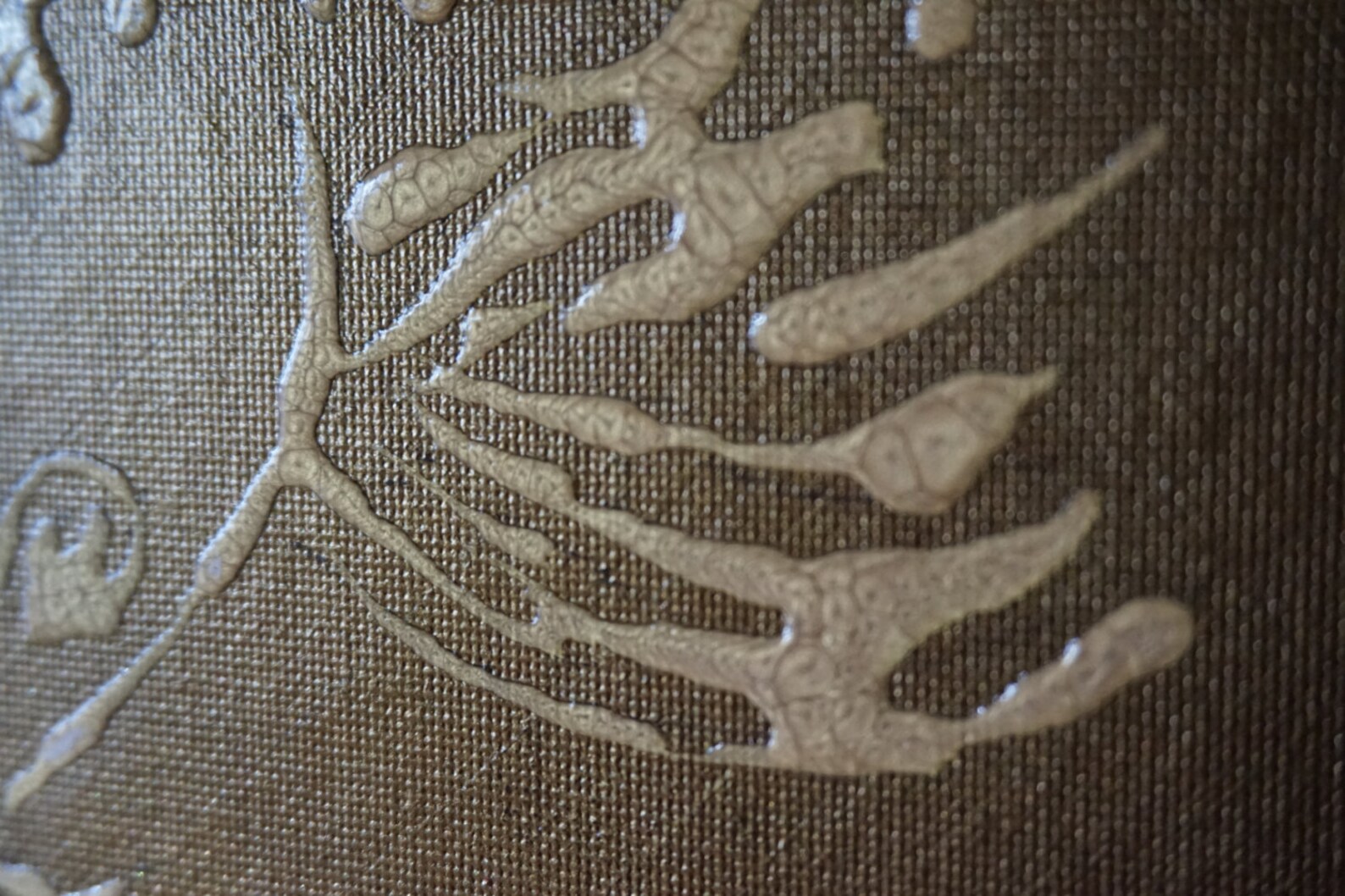 Original Gold Koi Wall Art Koi Fish Painting Koi Art Koi Etsy