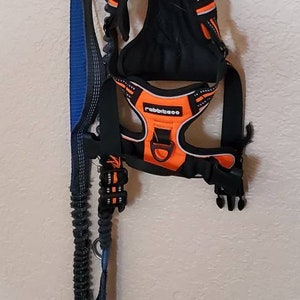May include: A wooden dog leash and harness holder with a paw print and the name "Murphy" painted on it. A blue leash and an orange harness are hanging from the hooks.