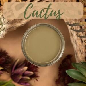 Cactus - Dixie Belle Silk All In One Mineral Paint New Colours, Upcycle, Painting, Furniture, Kitchen Renovation water resistant