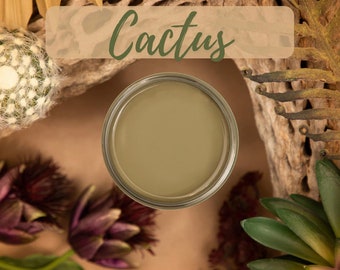 Cactus - Dixie Belle Silk All In One Mineral Paint New Colours, Upcycle, Painting, Furniture, Kitchen Renovation water resistant