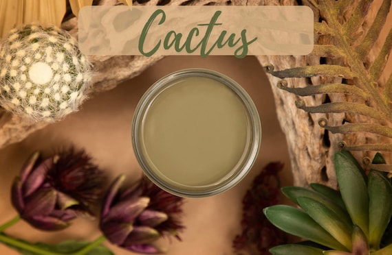 Cactus Dixie Belle Silk All in One Mineral Paint New Colours, Upcycle,  Painting, Furniture, Kitchen Renovation Water Resistant -  UK