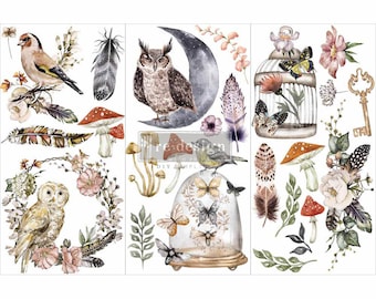 Forest Furniture Decor Transfer 24" x 35" Re-Design with Prima, Chalk Mineral Paint, floral, birds, branches