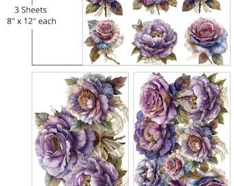 Belles and Whistles Furniture Decor TransferRoses and Peonies Mid Transfer 3 Sheets- 8" x 12" each, Dixie Belle