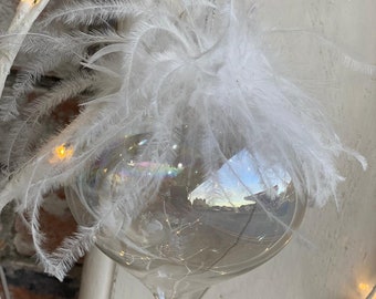 Glass Bauble With Feathers