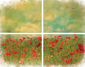 Belles and Whistles Furniture Decor Transfer FIELD OF FLOWERS - 32" x 24" Dixie Belle, Re-Design with Prima, Chalk Mineral Paint, craft