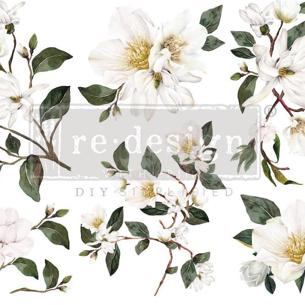 White Magnolia Furniture Decor Transfer Floral, script words, 12" x 6" Dixie Belle Re-Design with Prima, Chalk Mineral Paint