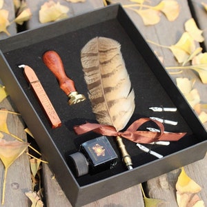 Calligraphy Writing Quill Feather Dip Pen Set / fountain Pen & Stamp Set Antique natural feather
