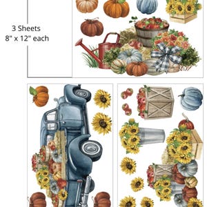 Belles and Whistles Furniture Decor Transfer Country Pickin' Mid Transfer 3 Sheets- 8" x 12" each, Dixie Belle