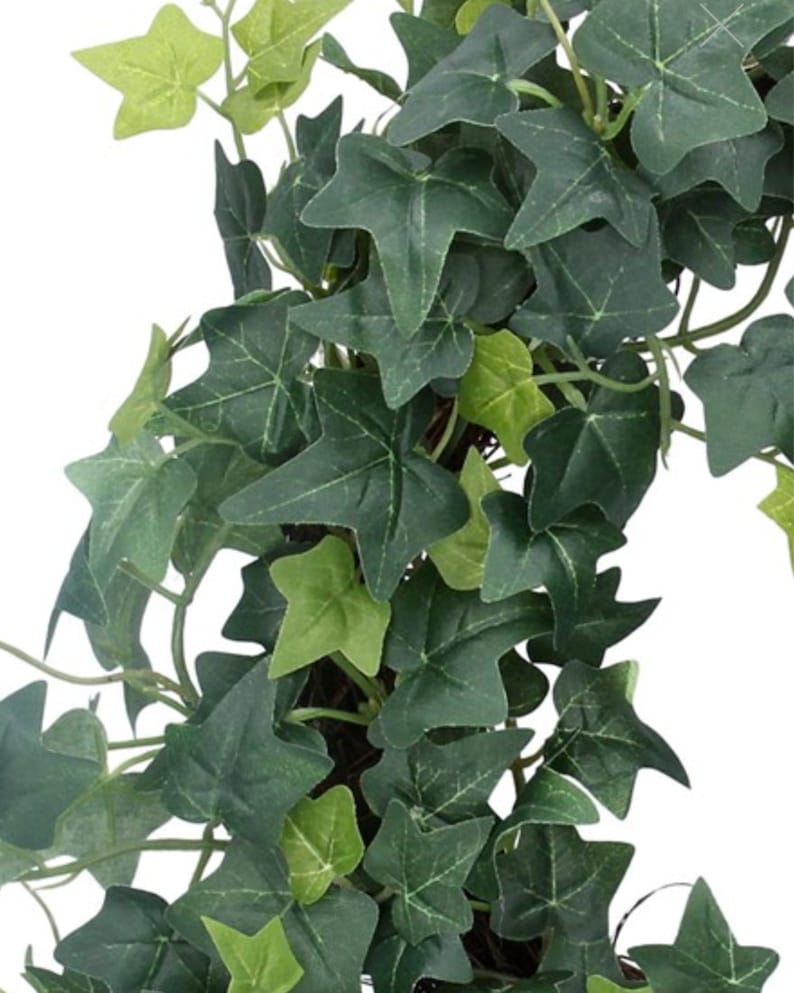 Peut inclure: Une couronne de lierre verte avec des feuilles luxuriantes et r&eacute;alistes. La couronne est faite de lierre artificiel et est parfaite pour ajouter une touche de verdure &agrave; n'importe quel espace.