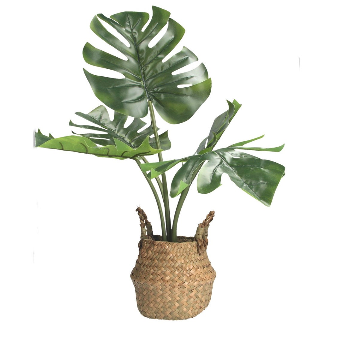 Artificial outlet cheese plant