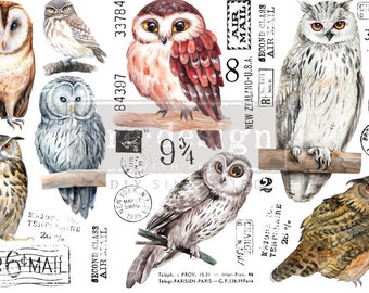 Owl Furniture Decor Transfer, 12" x 6" Dixie Belle Re-Design with Prima Chalk Mineral Paint, Bird, Owl, Hogwarts, Stamp