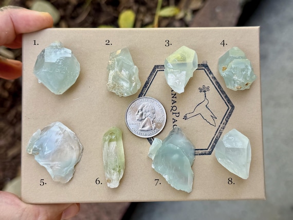 Colombian Dream Quartz, Choose ONE of Eight, Old Find, Green Phantom Quartz with Epidote, Colombia B314