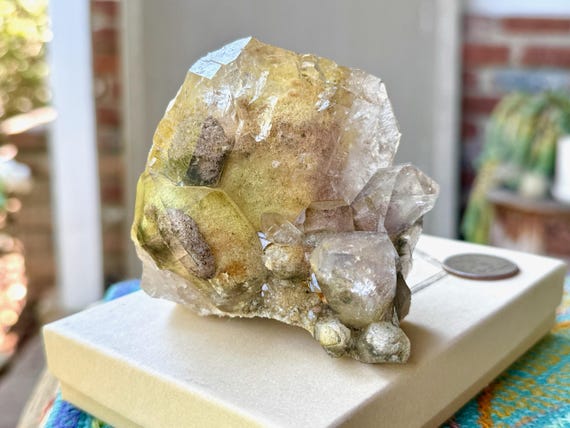 Lodolite Quartz with Citrine & Yellow Sulfite, Self-Standing Tabby Formation, 345g, New Find, Corinto, Minas Gerais, Brazil W991