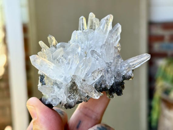 Black Tourmaline Quartz Cluster, Self-Standing, 145g, New Find, Cabasaco Mine, Diamantina, Minas Gerais, Brazil W950