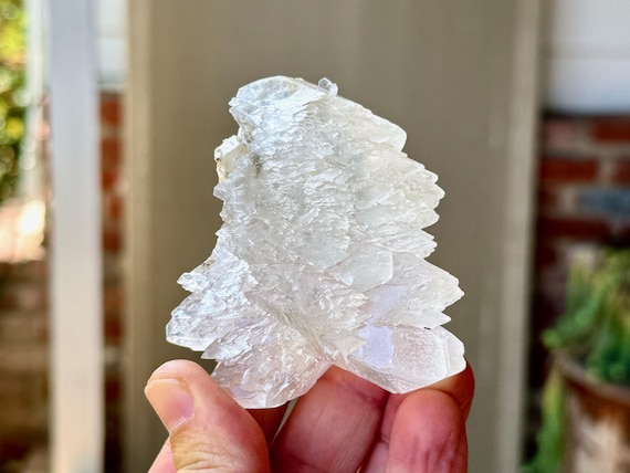 Fishtail Selenite, Natural Angel Wing Formation, 126g, Purification & Energetic Cleansing, Mexico A608