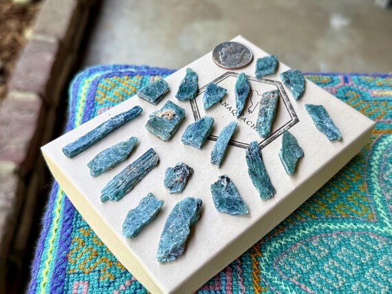 Ocean Kyanite Lot, 20 pcs, Blue-Green Kyanite Crystals, Heart & Throat Chakra Connection, Tanzania T046
