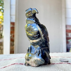 Andean Condor Statue from Peru, Hand Carved from Native Black Onyx and Septarian Stone, Artist Ozwaldo Perez