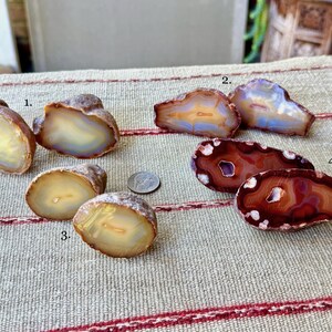 Op de afbeelding: Een verzameling gepolijste agaatstenen in verschillende vormen en kleuren. De stenen vertonen banden van gele, bruine en blauwe tinten. Sommige hebben een doorschijnende kwaliteit, terwijl andere ingewikkelde patronen en kristalformaties vertonen. Een munt is inbegrepen ter groottevergelijking.
