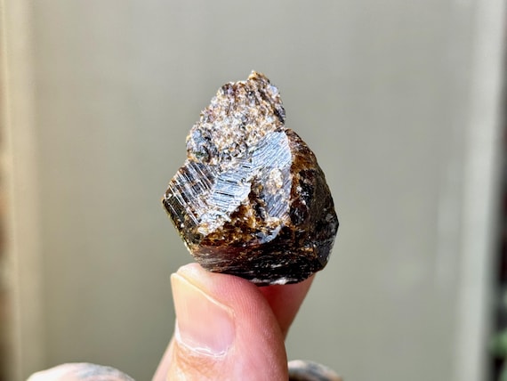 Dravite, Natural Root Beer Brown Tourmaline, 23g, Root Chakra, Shadow Work, Shamanic Healing, Australia S632