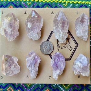 May include: An assortment of eight amethyst crystal points, varying in size and shape, displayed on a cardboard surface. A US quarter coin is included for size reference. The crystals exhibit shades of purple and clear quartz. The background features a colorful textile.