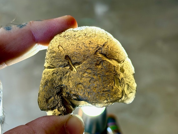 Colombianite, 80g, Highest Vibration Pseudotektite, Valle del Cauca, Cali, Colombia B537