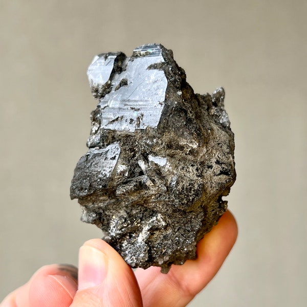 Schwarzer Samadhi Quarz mit schwarzem Turmalin, seltener Fund, Himalaya-Quarz, Höhenquarz, reine Vibration, Indien X052