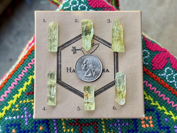 Heliodor, Padre Paraíso, Choose ONE of Six, Empowerment & Self-Confidence, Minas Gerais, Brazil B445
