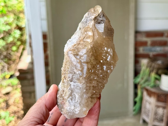 Elestial Smoky Jacare Quartz, Self-Standing, 780g, Root Chakra, Manifestation & Protection, Minas Gerais, Brazil X195