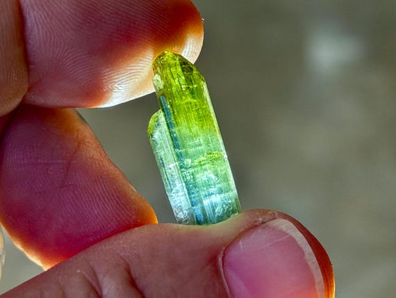 Bicolor Tourmaline, Aricanga Mine, Blue & Green, 2.4g, São Jose do Safira, Minas Gerais, Brazil B615